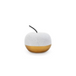 Golden Pear & Golden Apple Decorative Set